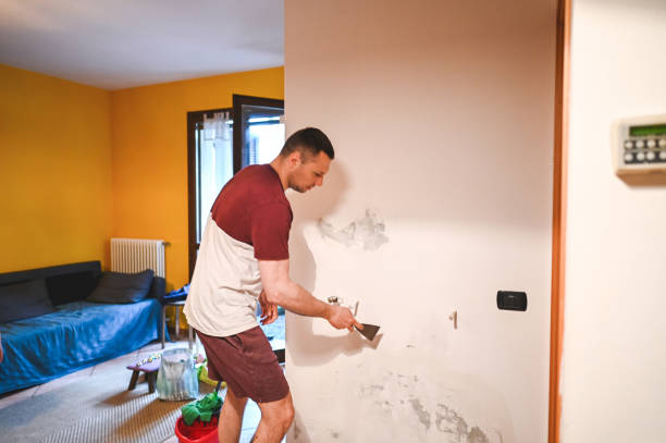 Best Office Mold Removal Services  in Oasis, CA